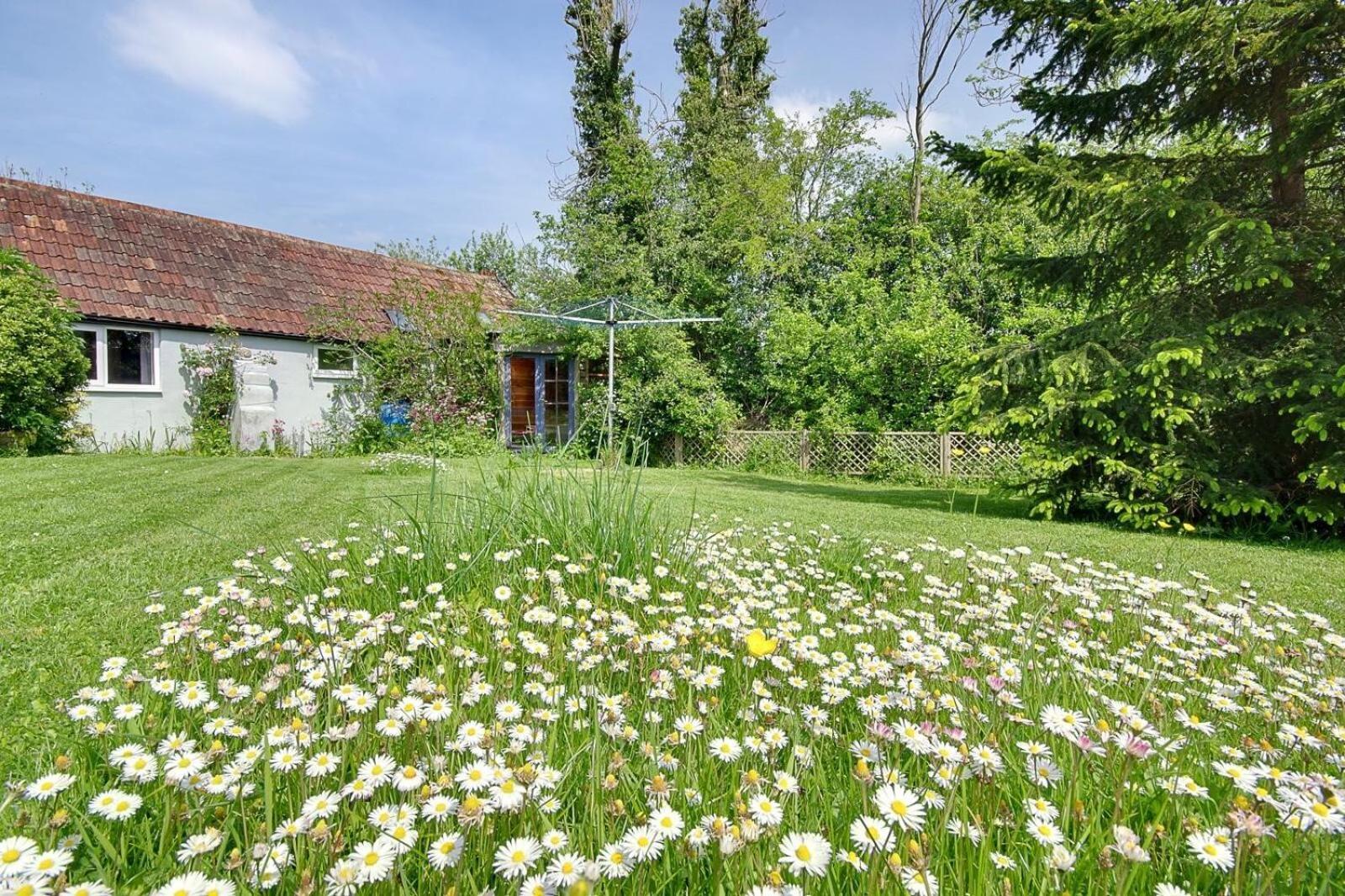 Hilltop Farm Sturminster Newton Εξωτερικό φωτογραφία